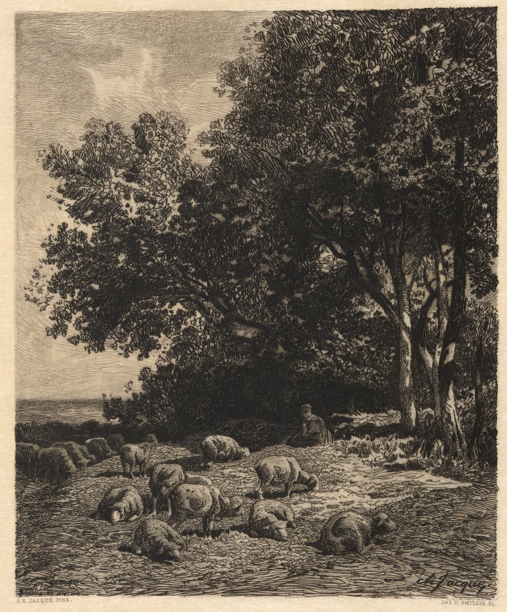 Landscape and Sheep by James David Smillie