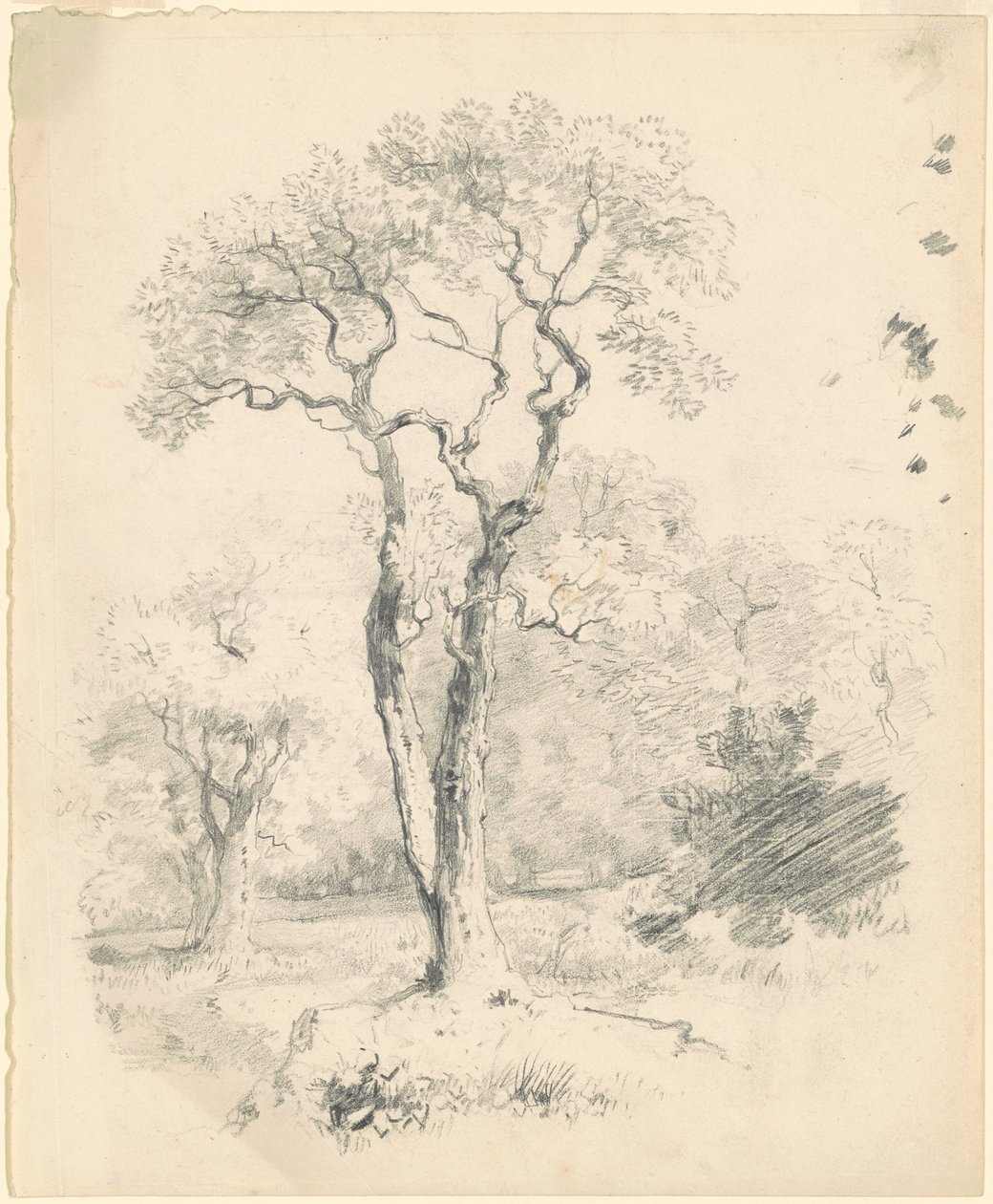 A Glade of Trees by James Goodwyn Clonney