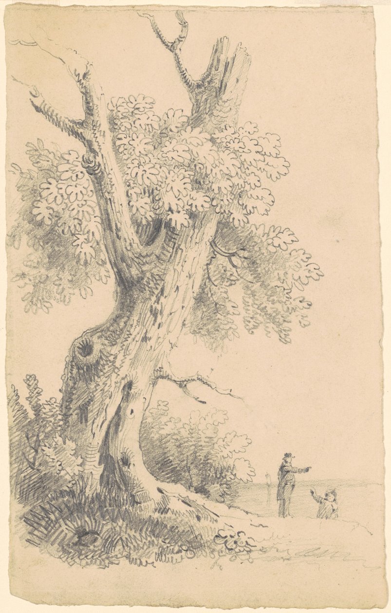 Tree Near the Shore by James Goodwyn Clonney
