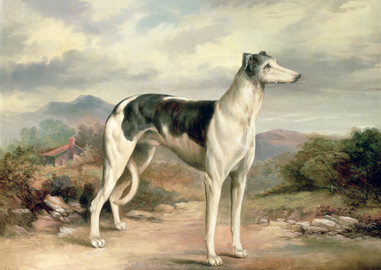 A Greyhound in a Hilly Landscape by James Henry Beard