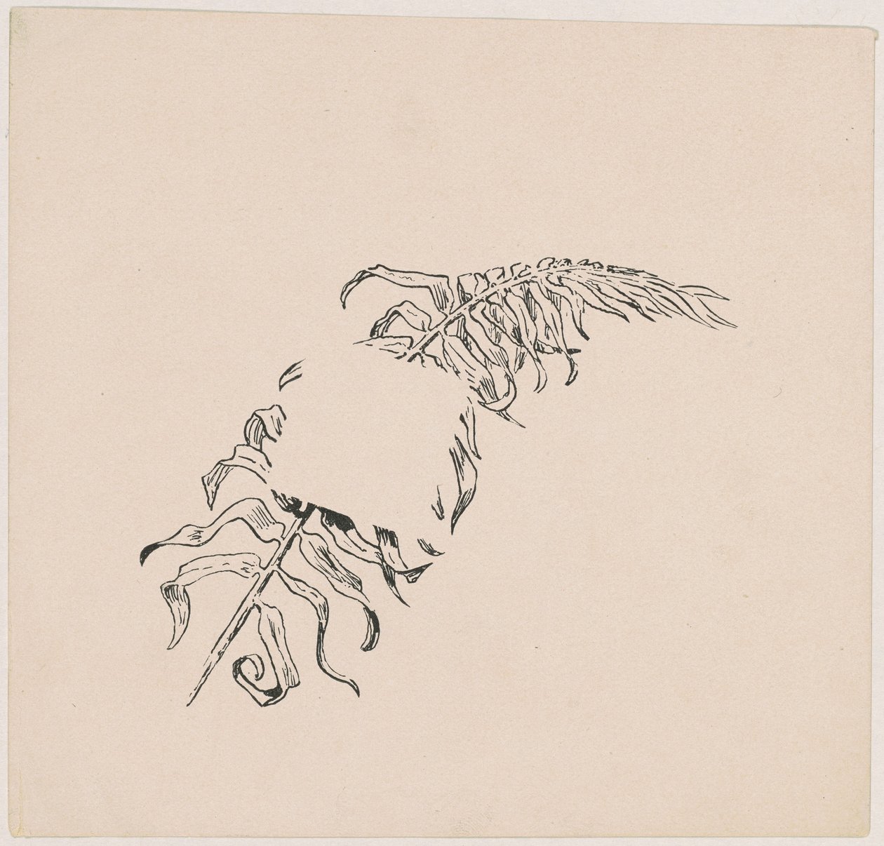 Branch by James Henry Moser