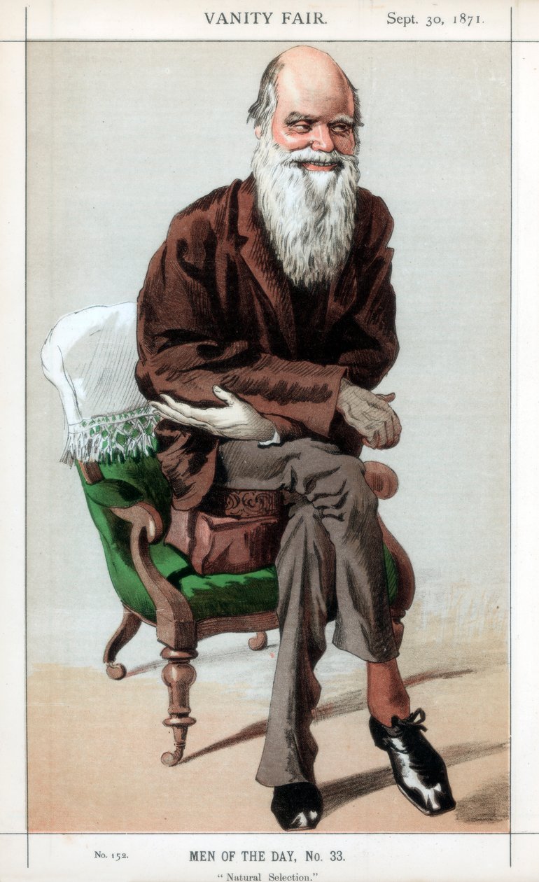 Natural Selection by James Jacques Joseph Tissot