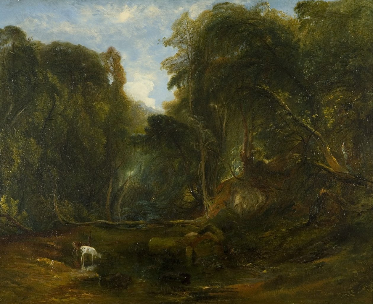 Nightingale Valley by James Johnson