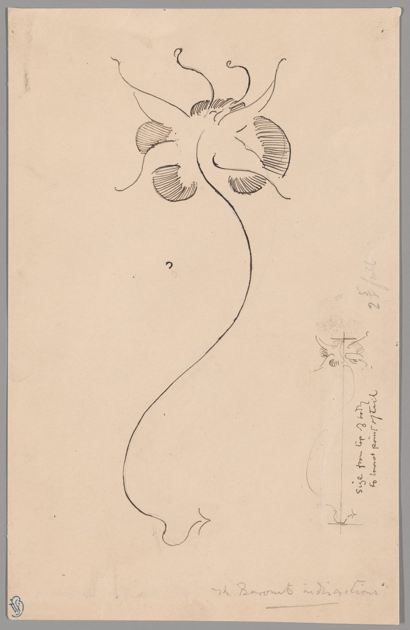 Butterfly (front); Study of Butterfly (back) by James McNeill Whistler
