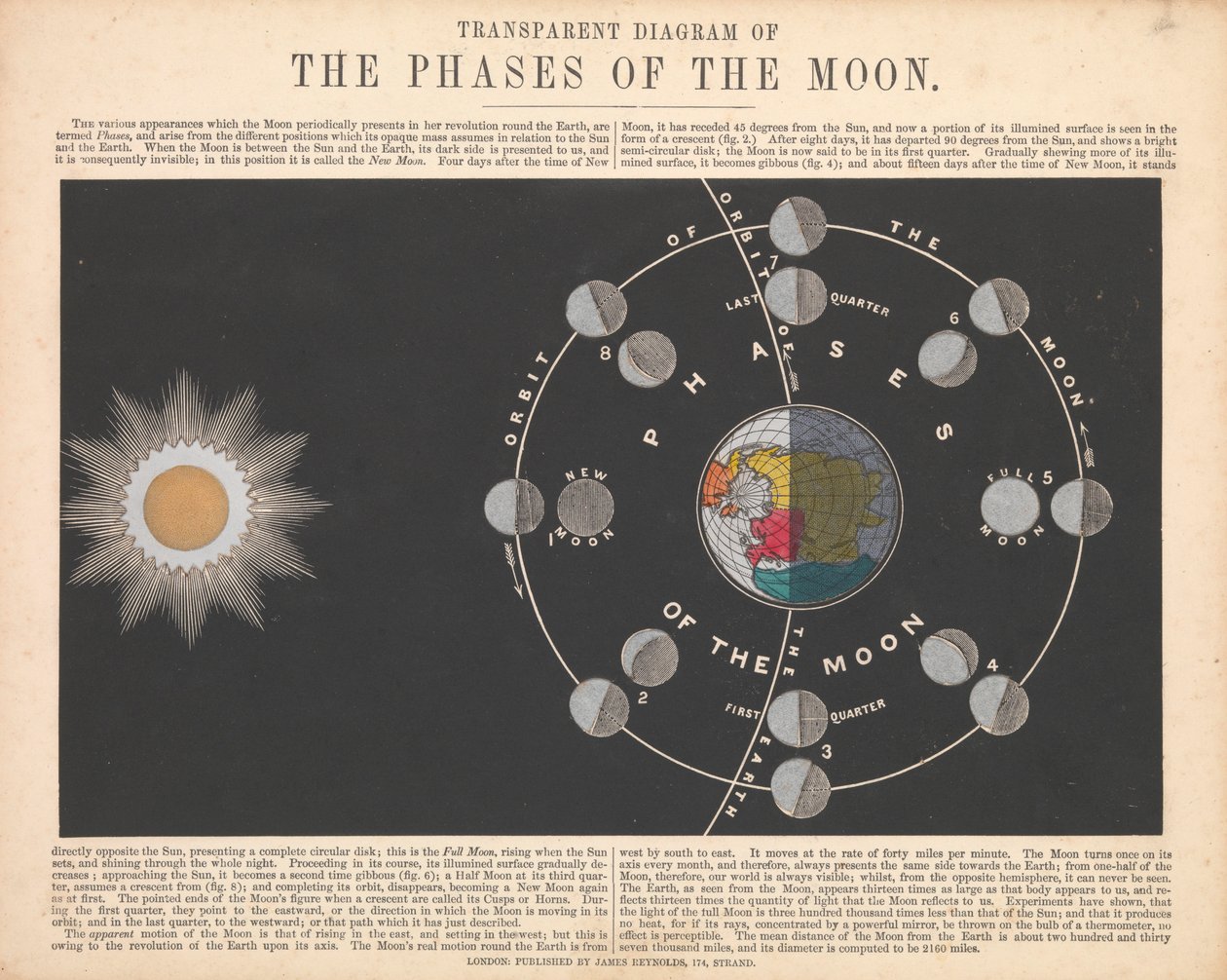 The phases of the moon by James Reynolds
