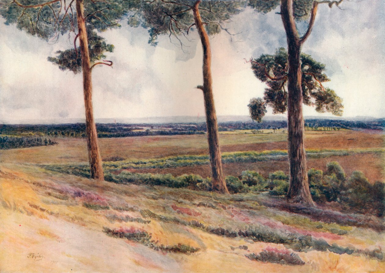 View from Staple Hill by James S Ogilvy