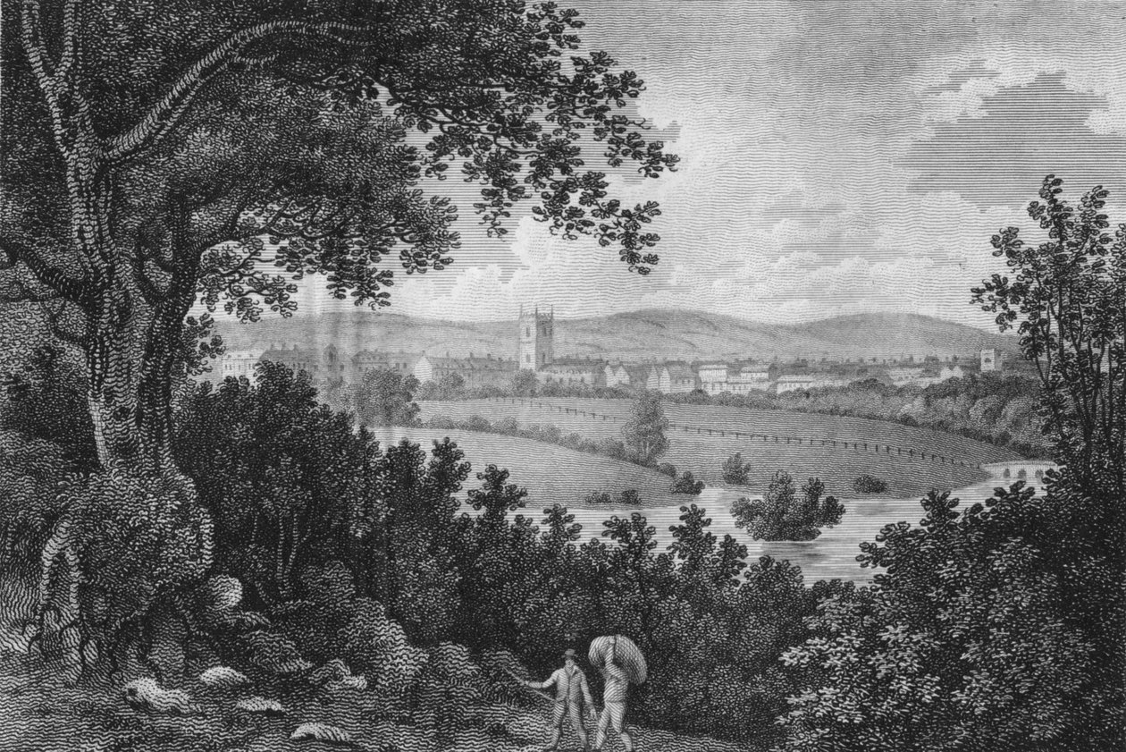 Marlborough: The Itinerant by James Walker