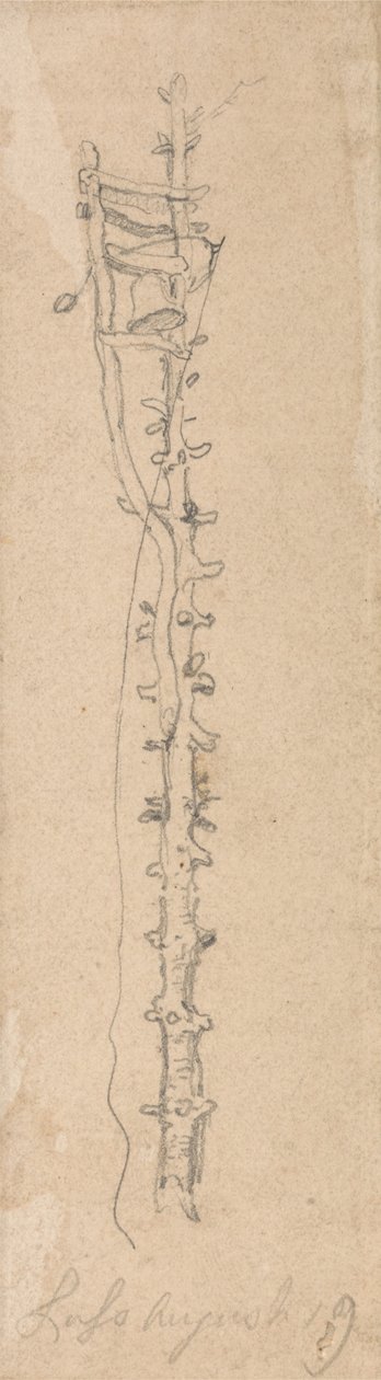 A Bell on a Notched Post by James Ward