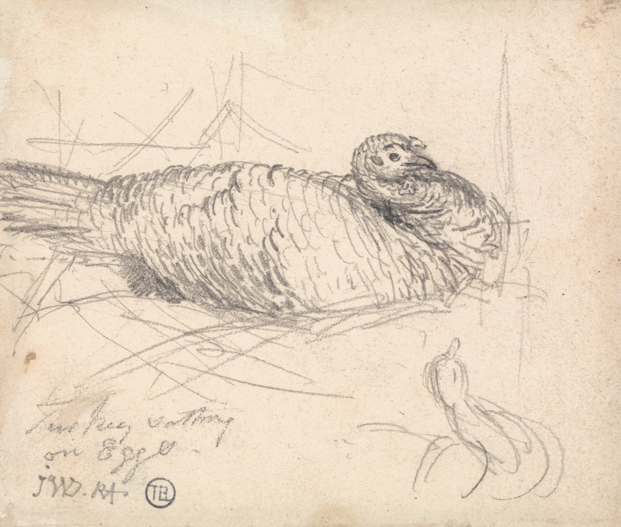 A Turkey Sitting on Eggs by James Ward