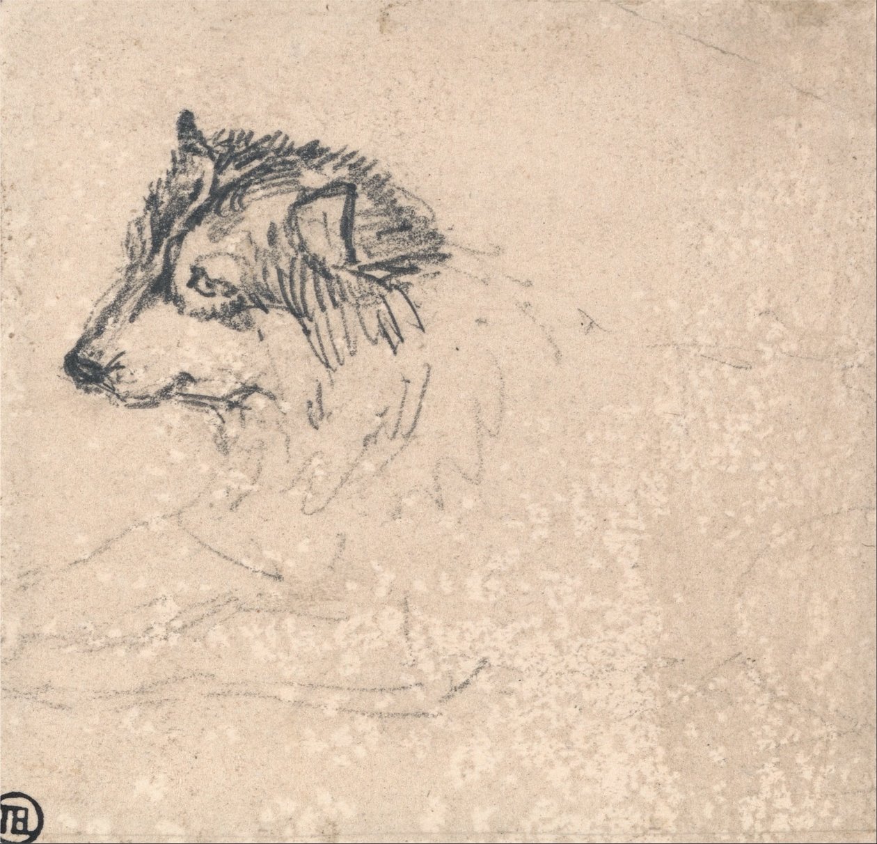 Arctic Dog, Facing Left by James Ward