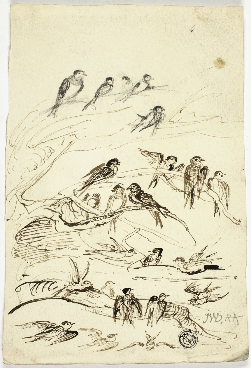 Swallows Before They Take Their Departure by James Ward