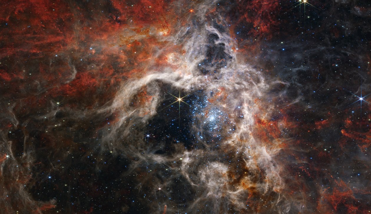 A Cosmic Tarantula by James Webb Space Telescope (NASA)