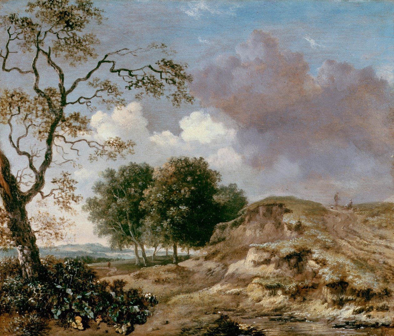 Landscape by Jan Wijnants
