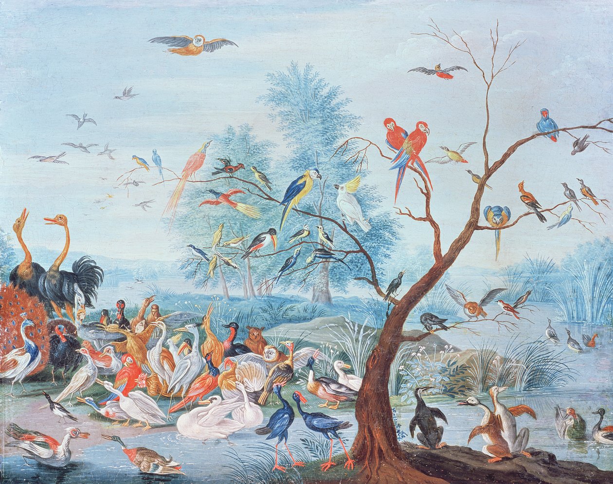 Tropical Birds in a Landscape by Jan van Kessel the Elder