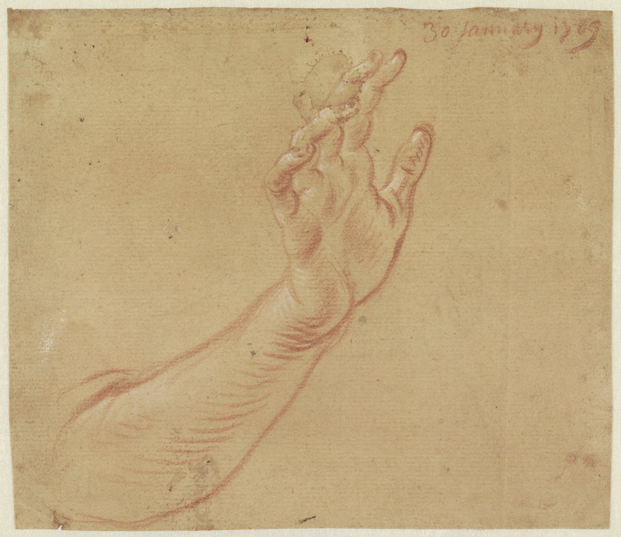 Study of a Right Arm by Jan Anton Garemyn