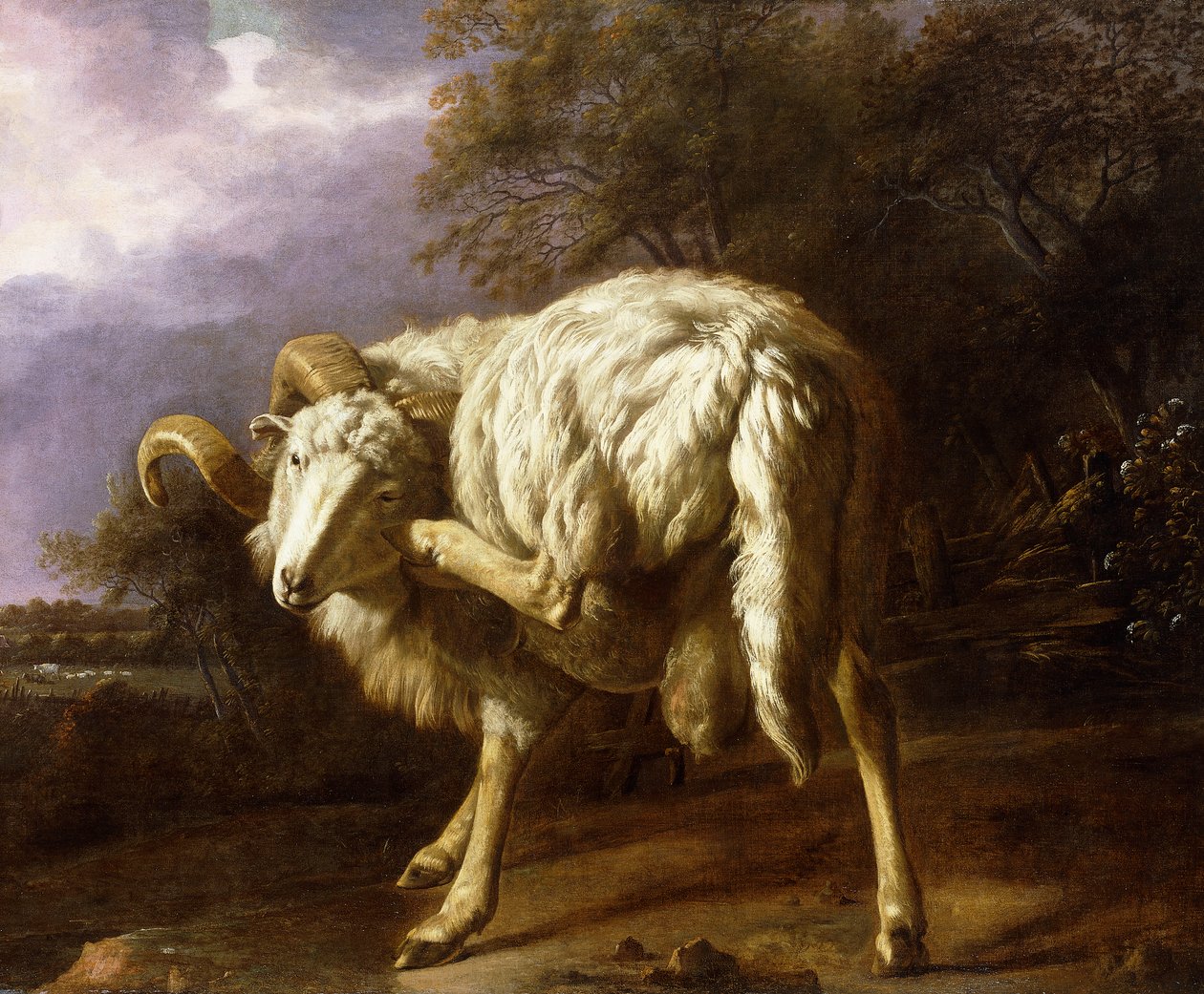 A Ram in a Wooded Landscape by Jan Baptist Weenix