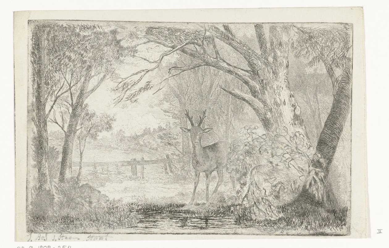 Park Landscape with Deer by Jan Bos Wz.