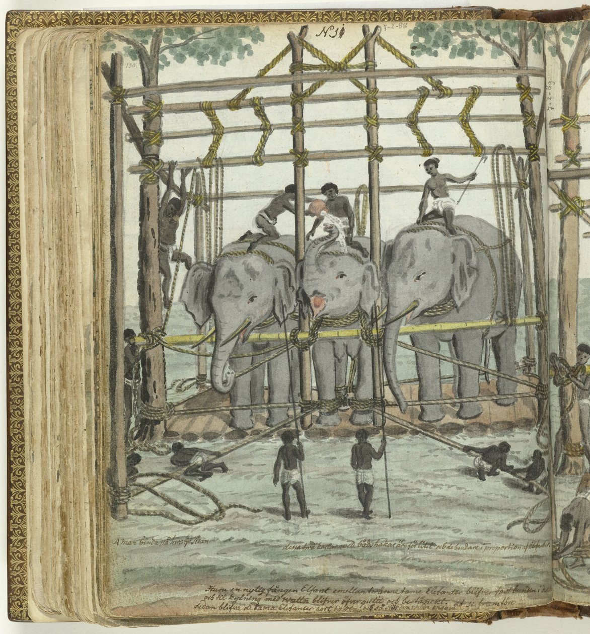 Taming an Elephant by Jan Brandes