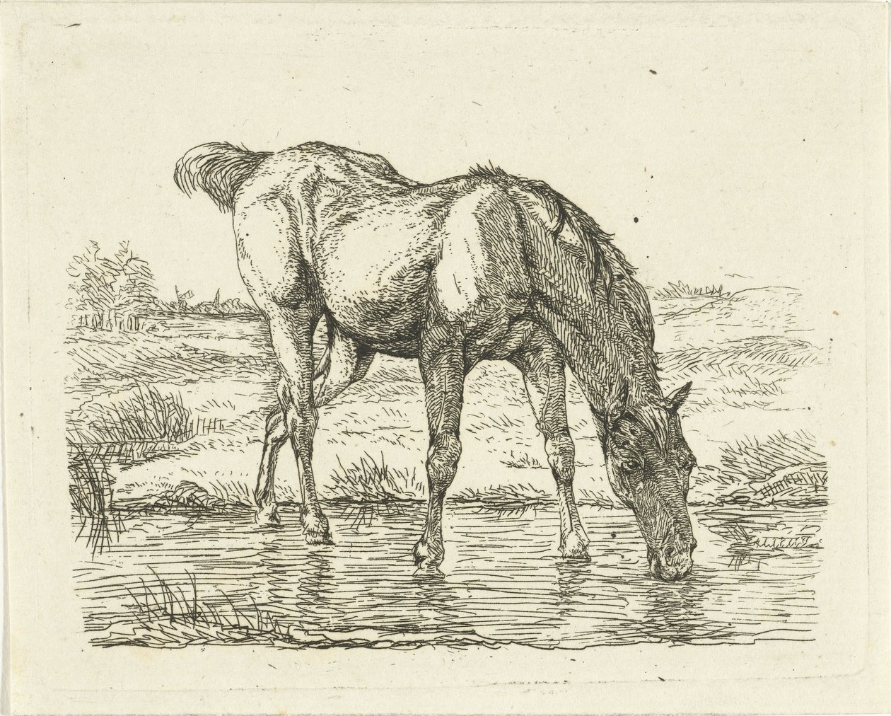 Drinking Horse by Jan Dasveldt