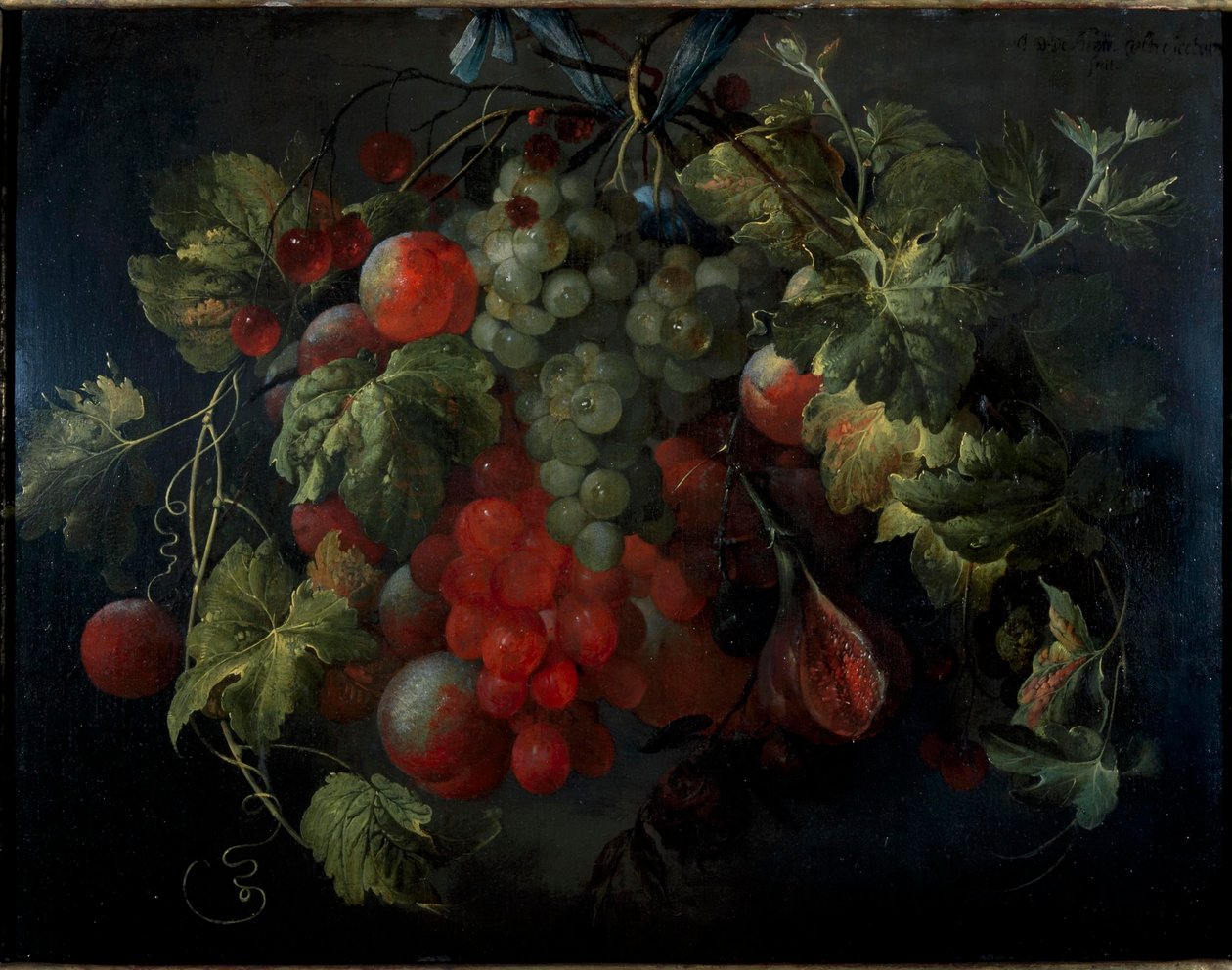 Festoon of Fruit by Jan Davidsz. de Heem