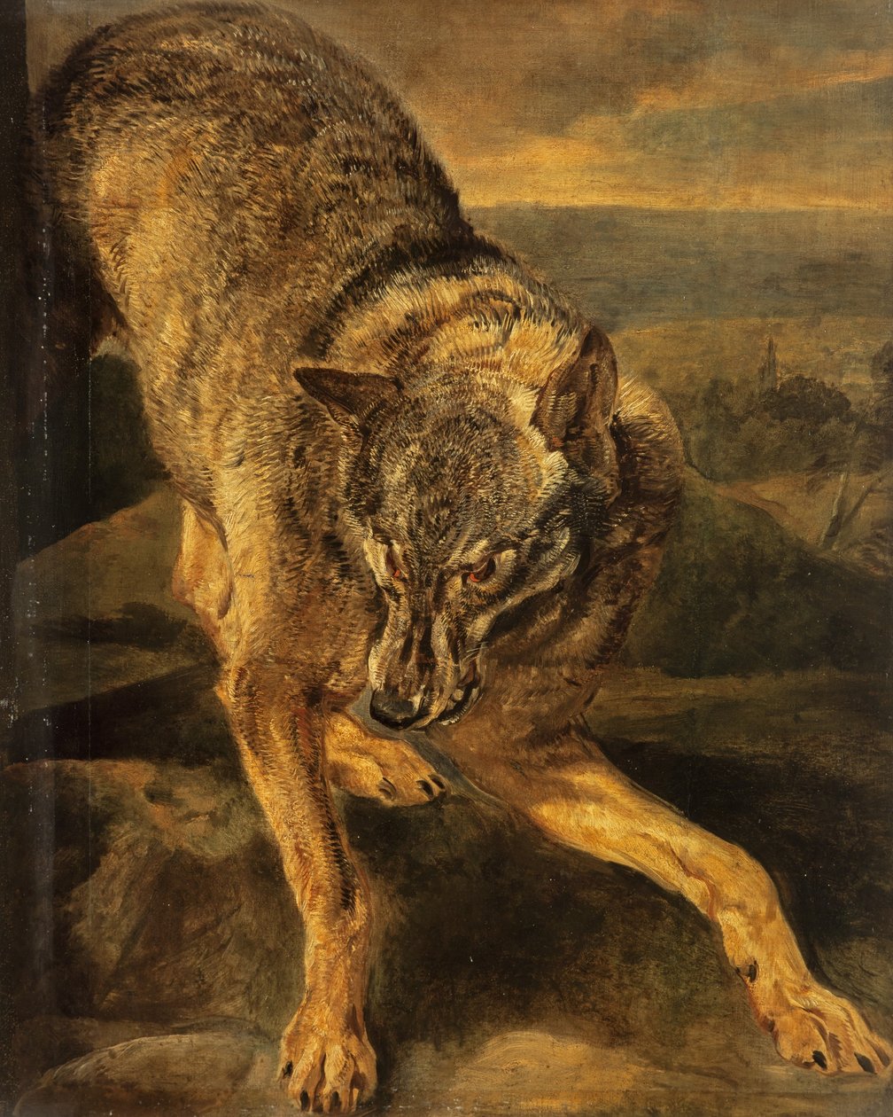 A Wolf by Jan Fyt