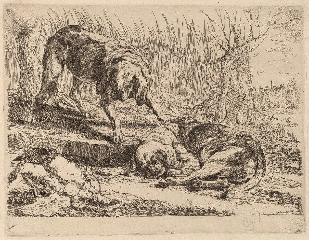 Two Beagles, One Sleeping by Jan Fyt