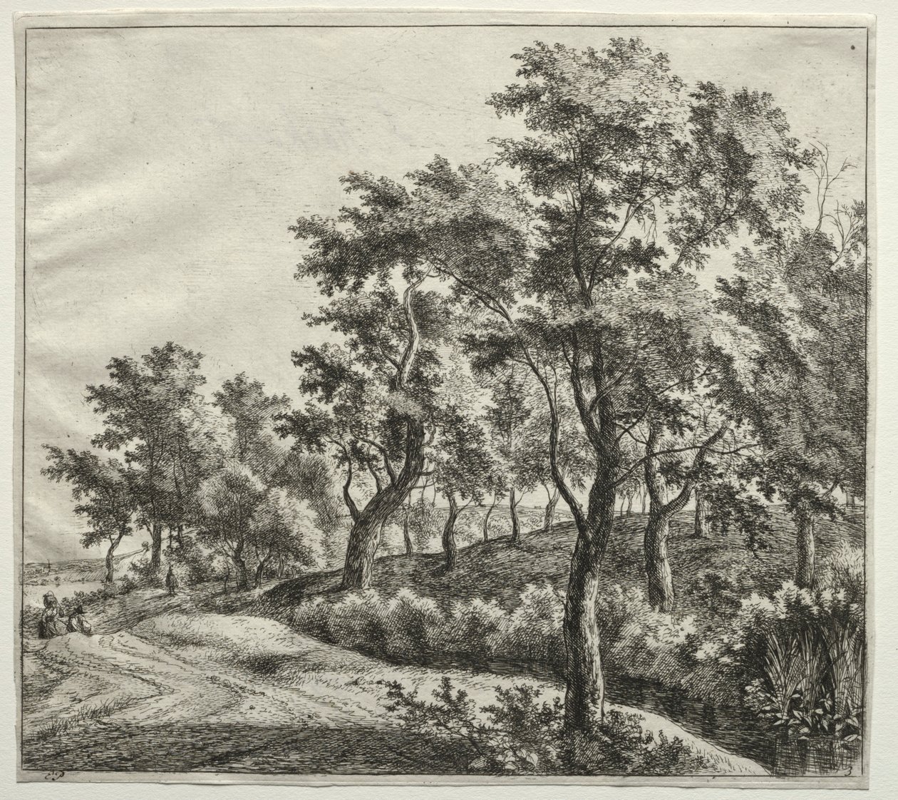 The Narrow Stream by Jan Hackaert