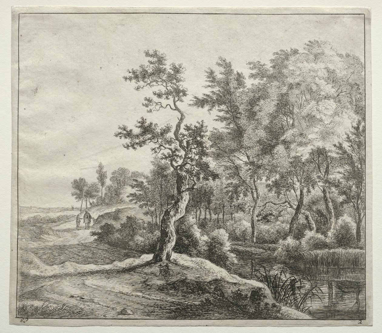 The Serpentine Road by Jan Hackaert