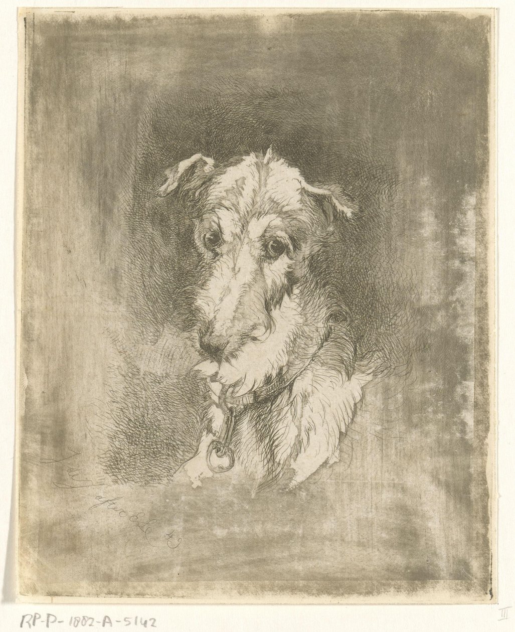 Head of a Greyhound by Jan Karel Jacob de Jonge