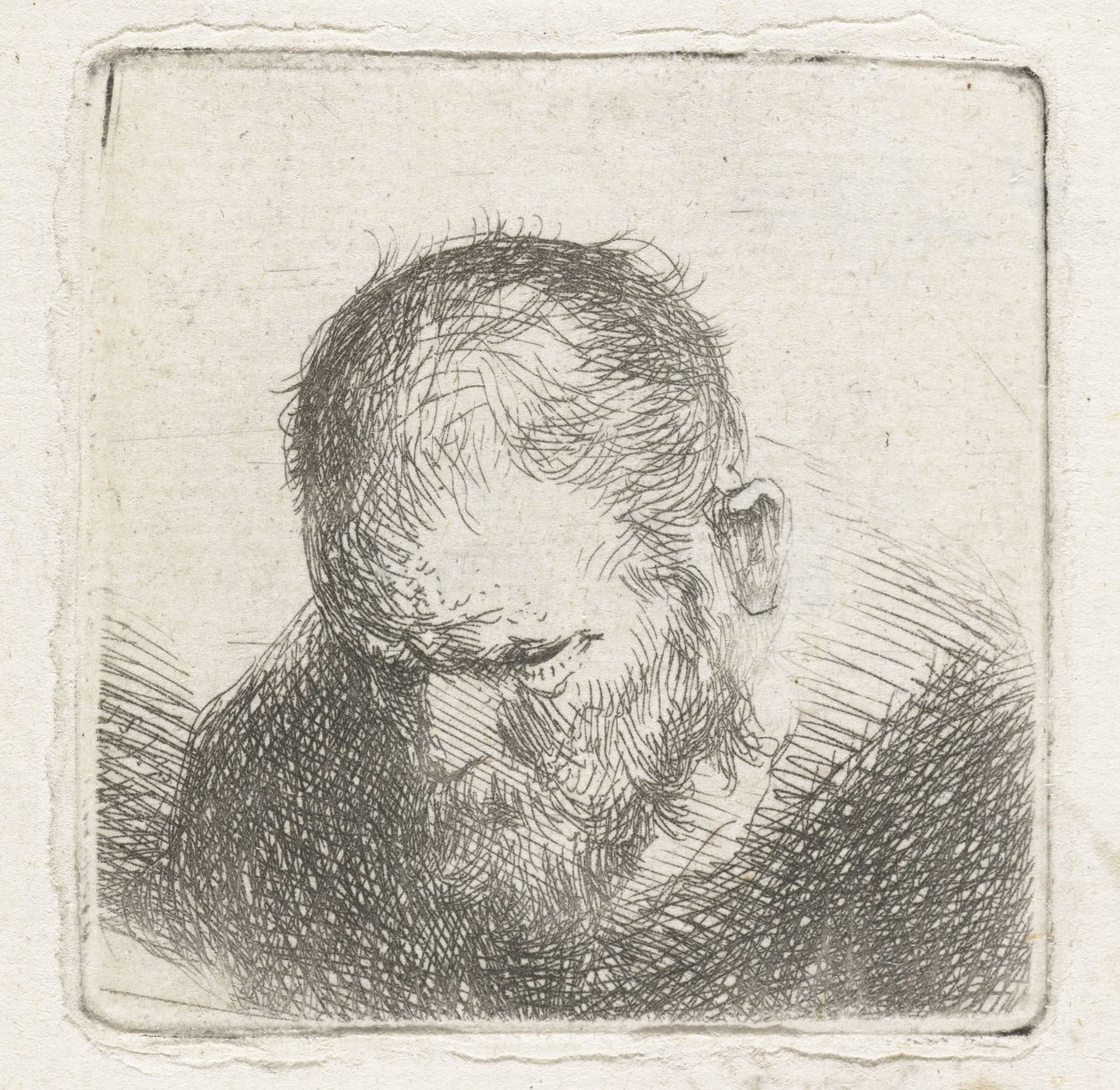 Man with Beard by Jan Lievens (possibly)