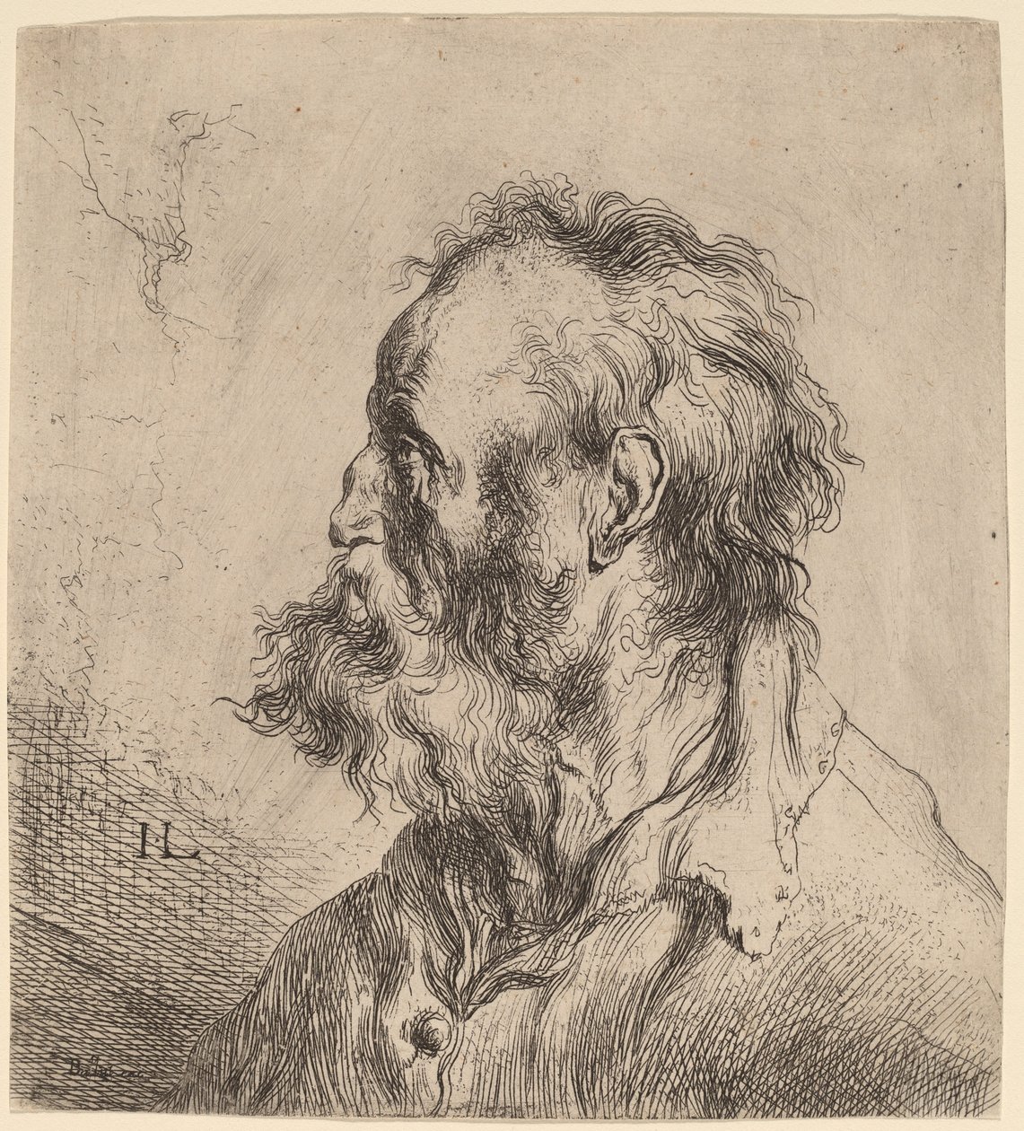 Bust of a Bearded Old Man by Jan Lievens