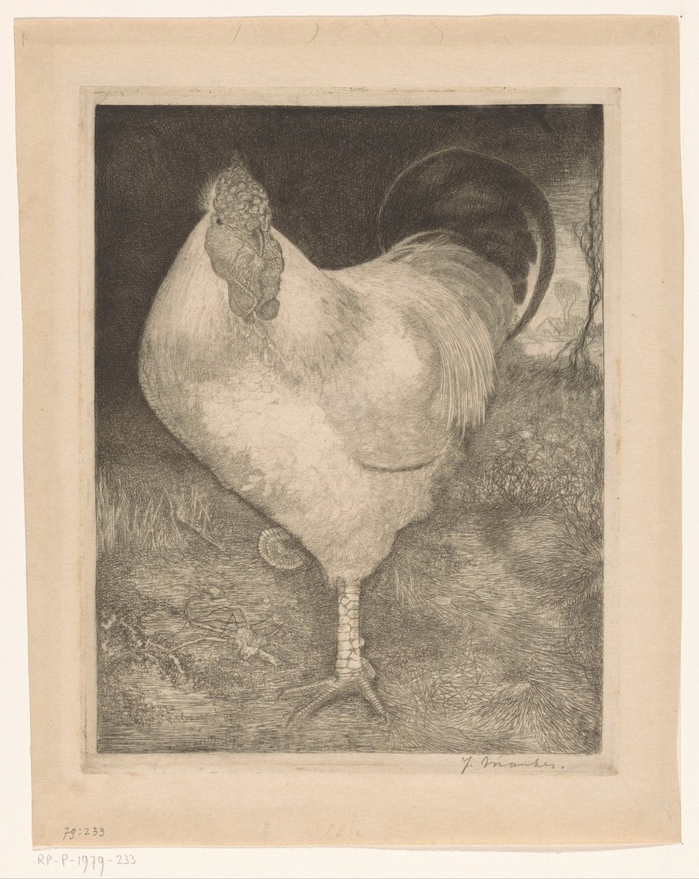 Rooster on One Leg by Jan Mankes (signed by artist)