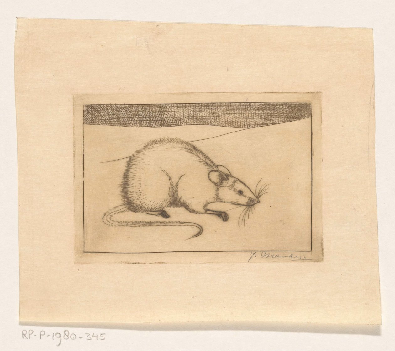 Mouse by Jan Mankes (signed by artist)
