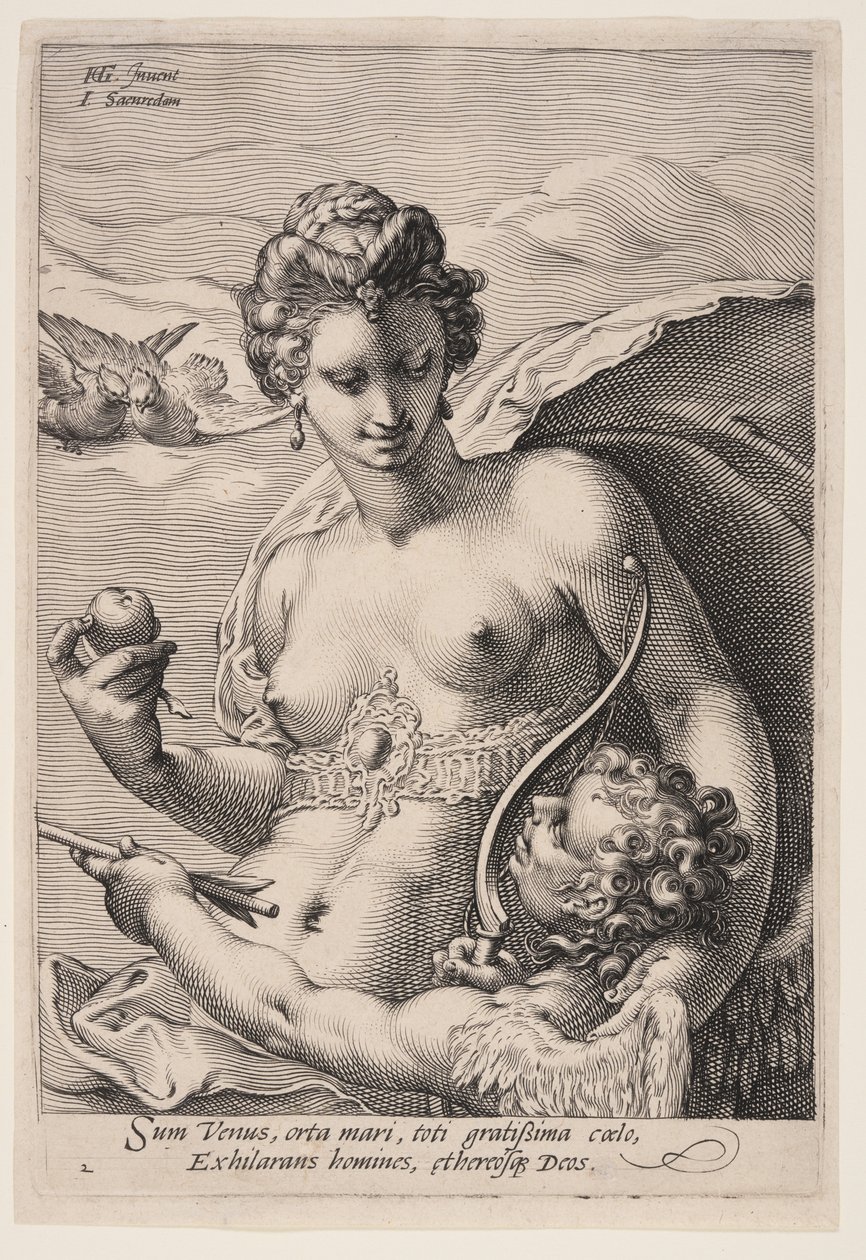 Venus and Cupid, from Three Goddesses by Jan Saenredam