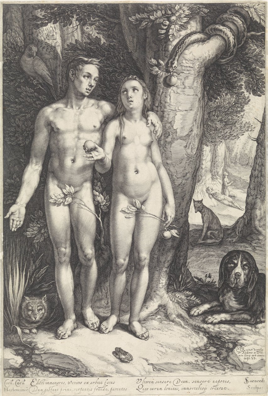 The Fall of Man by Jan Saenredam