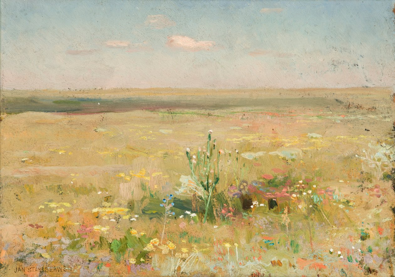 Steppe by Jan Stanislawski