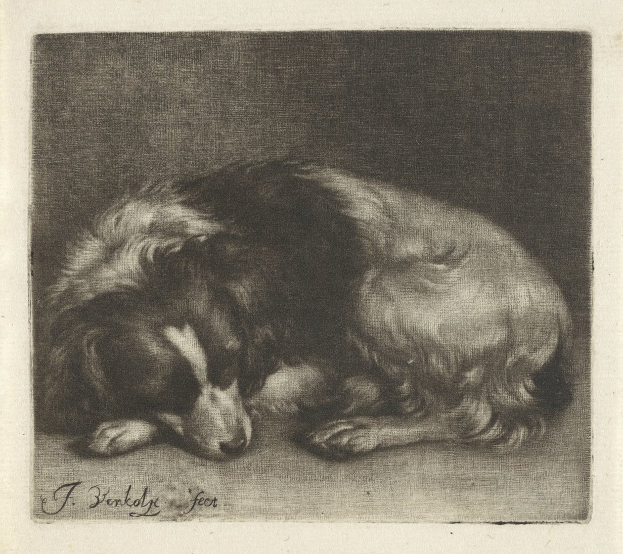Sleeping Dog, Possibly a Spaniel by Jan Verkolje (I)