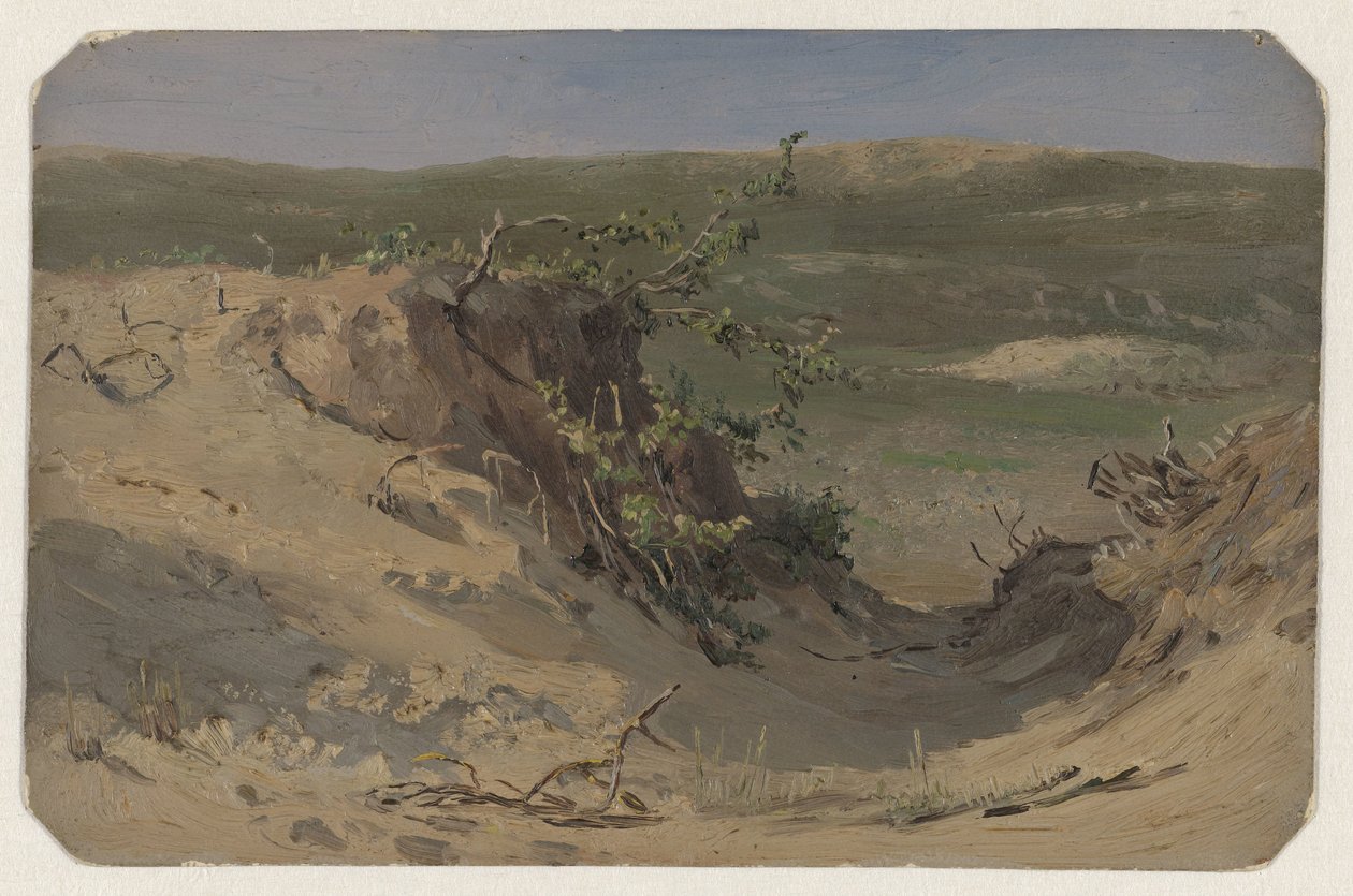 Dune Pan by Jan Willem van Borselen