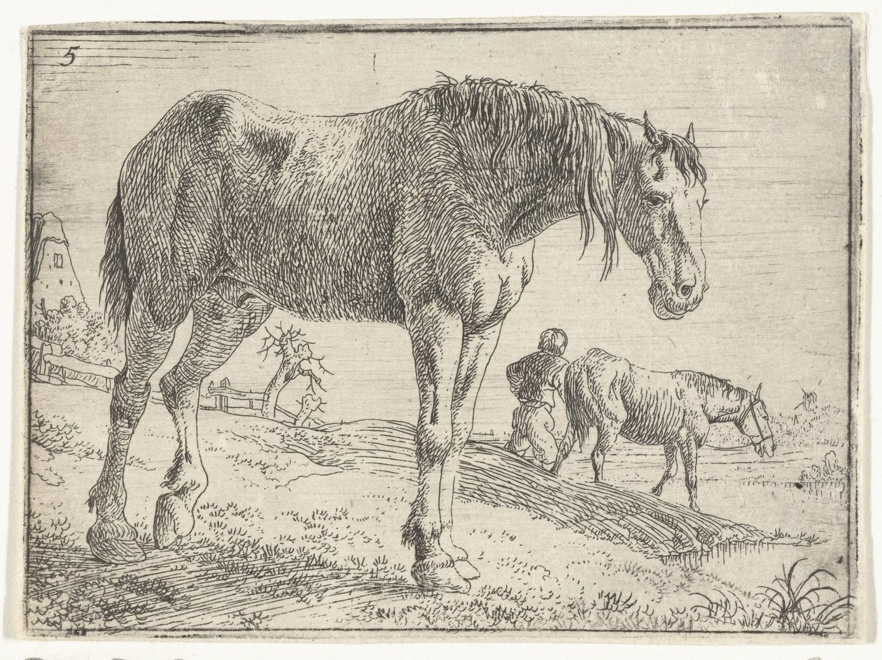 Standing Horse (Landscapes with Horses series) by Jan van Aken
