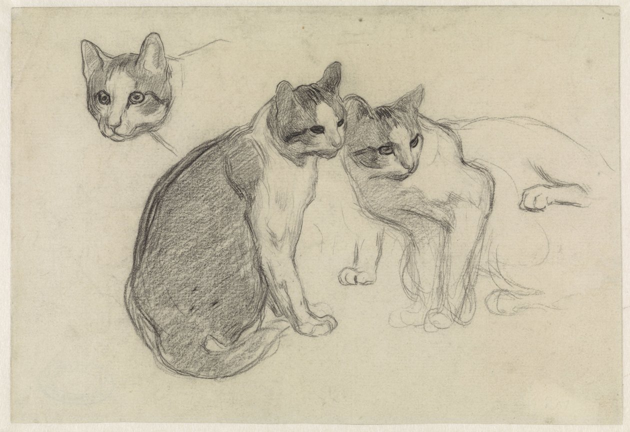 Study Sheet with Cats by Jan van Essen
