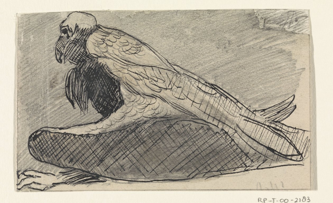 Sitting Vulture by Jan van Essen