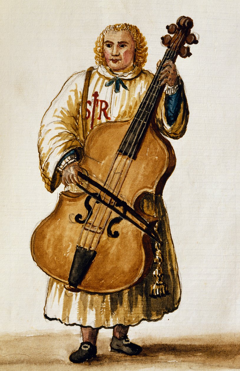 Street Musician by Jan van Grevenbroeck