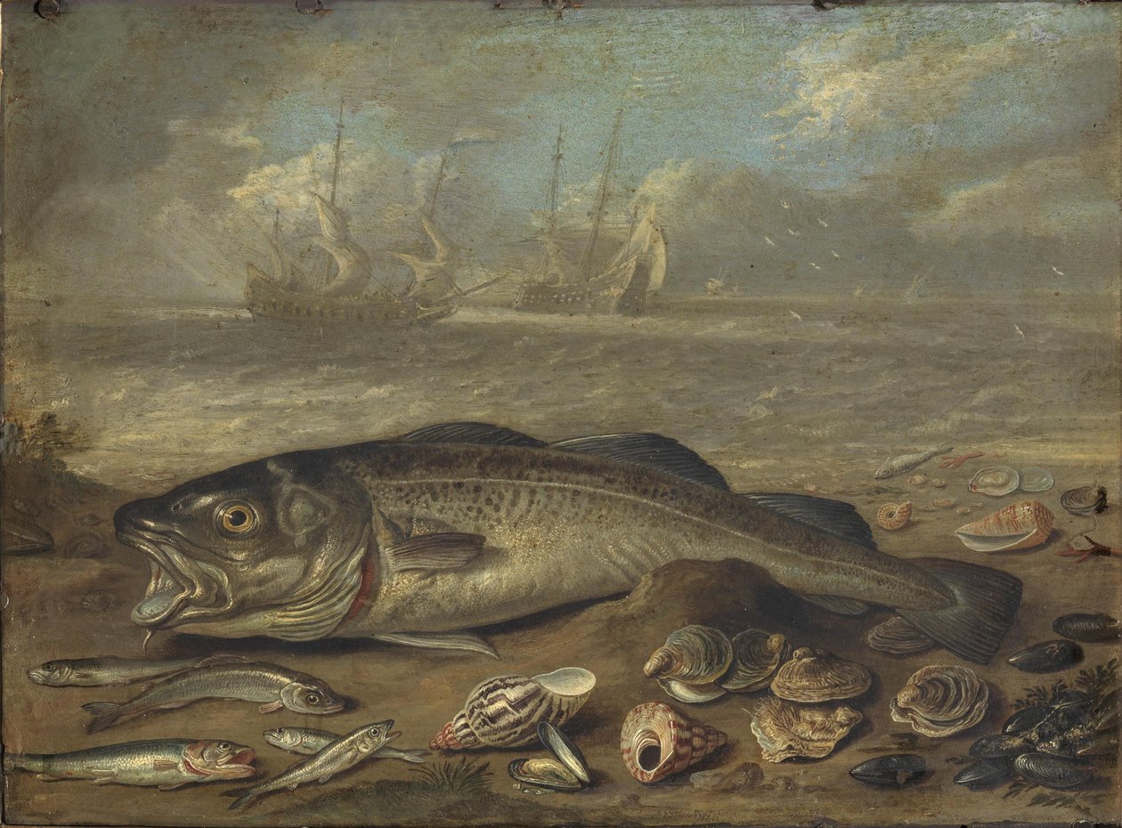 Fish and Marine Landscape by Jan van Kessel the Elder