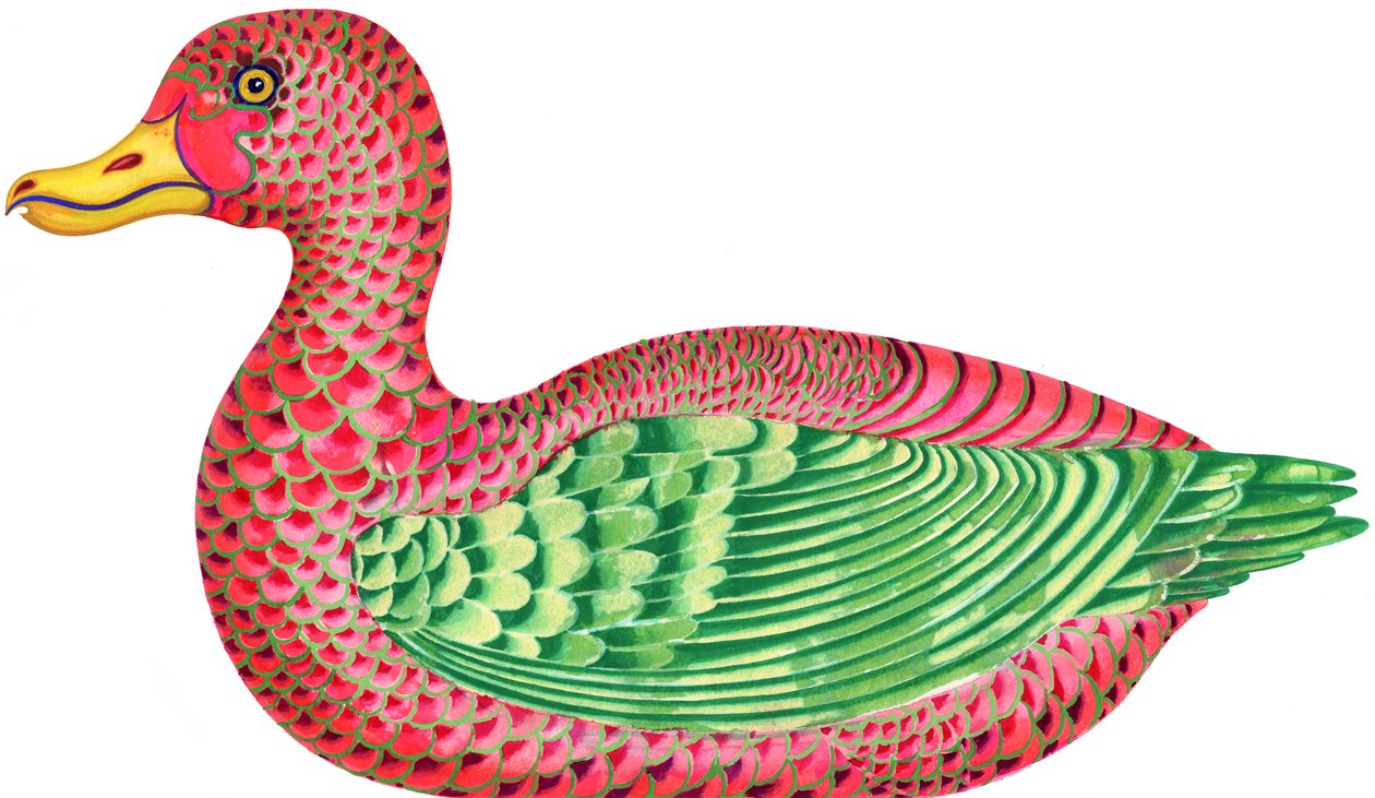 Duck by Jane Tattersfield