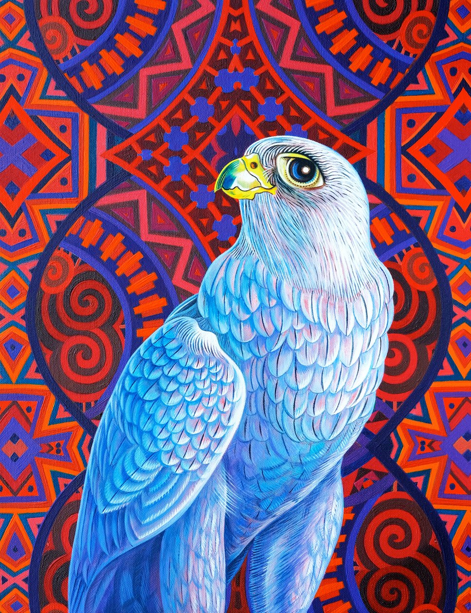 Grey Falcon by Jane Tattersfield