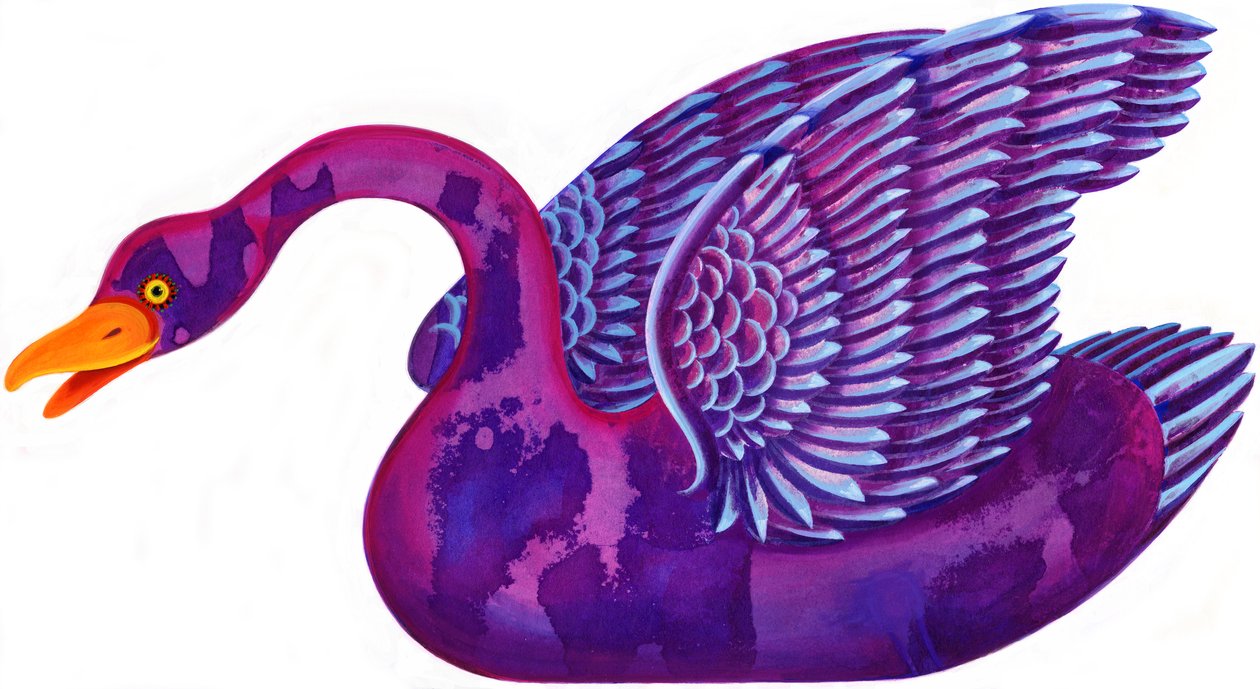 Swan by Jane Tattersfield