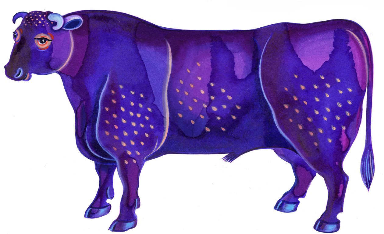 Taurus the Bull by Jane Tattersfield