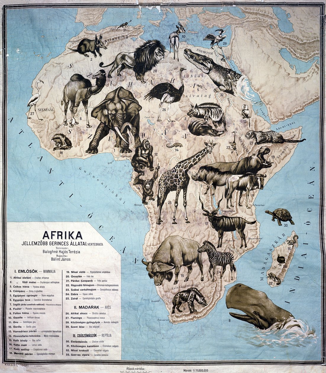 Map of Animals in Africa by Janos Balint