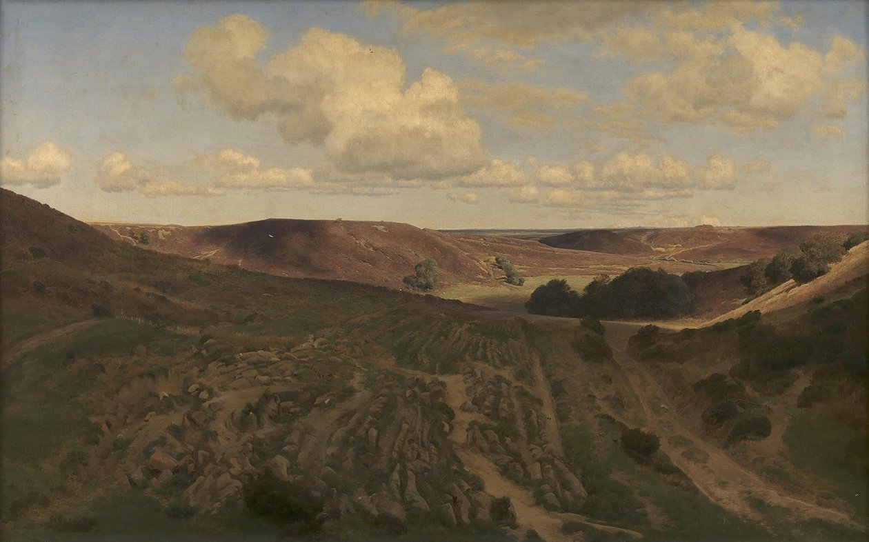 Landscape near Nejsum in Vendsyssel by Janus La Cour