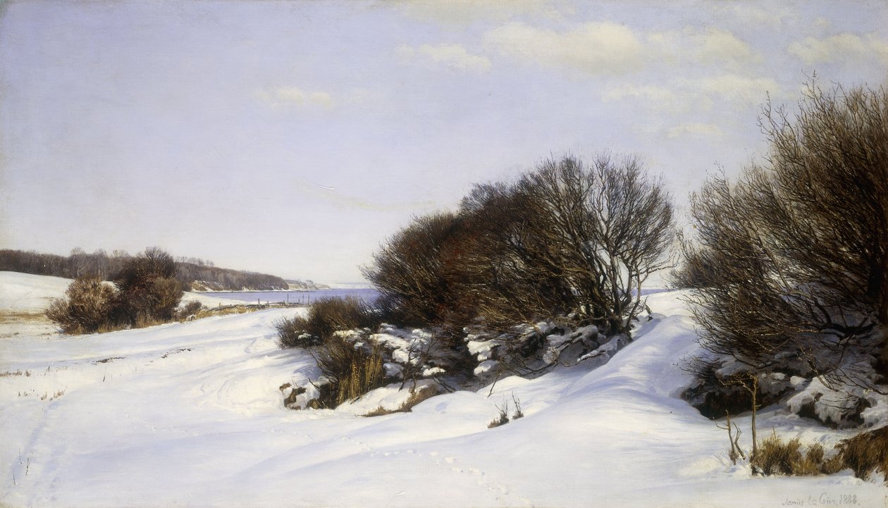 Winter Near the Sea by Janus La Cour
